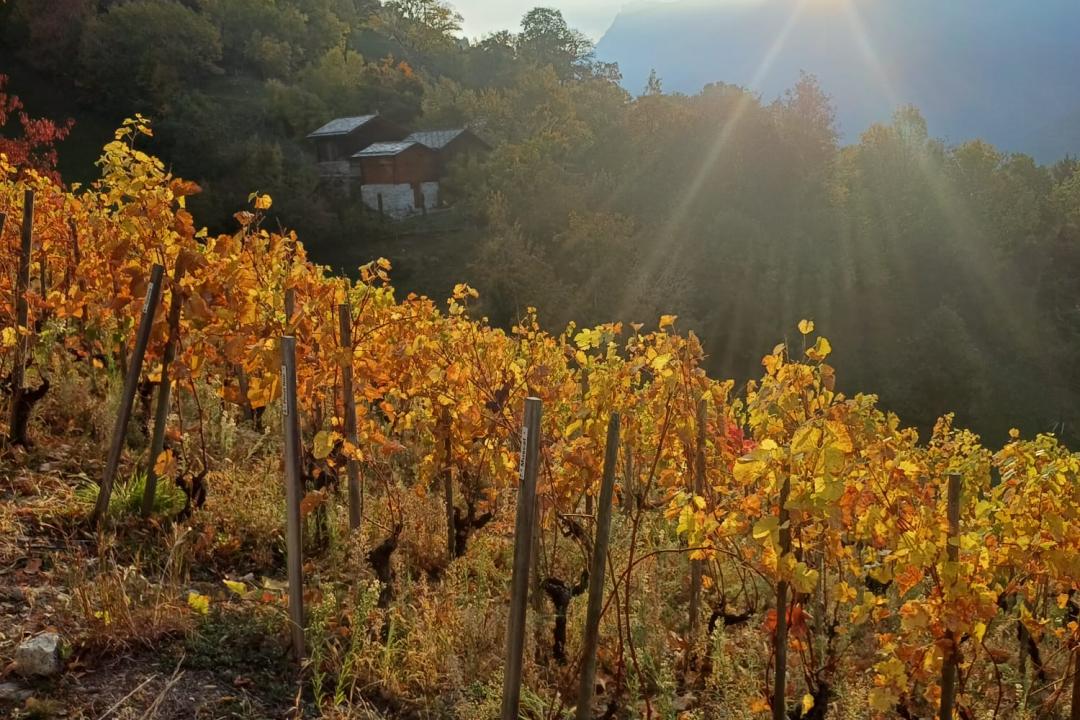 Geschäftsausflug 2025